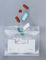 Duidelijke Kleine Ritssluitingszakken voor Pillen, de Beschikbare Zakken van de Lucht Strakke Ritssluiting leverancier